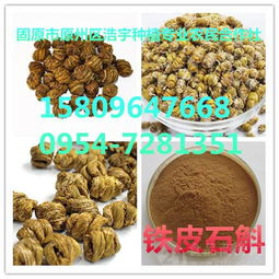 铁皮石斛粉、铁皮石斛提取物与铁皮石斛速溶粉的市场价格与产品报价解析